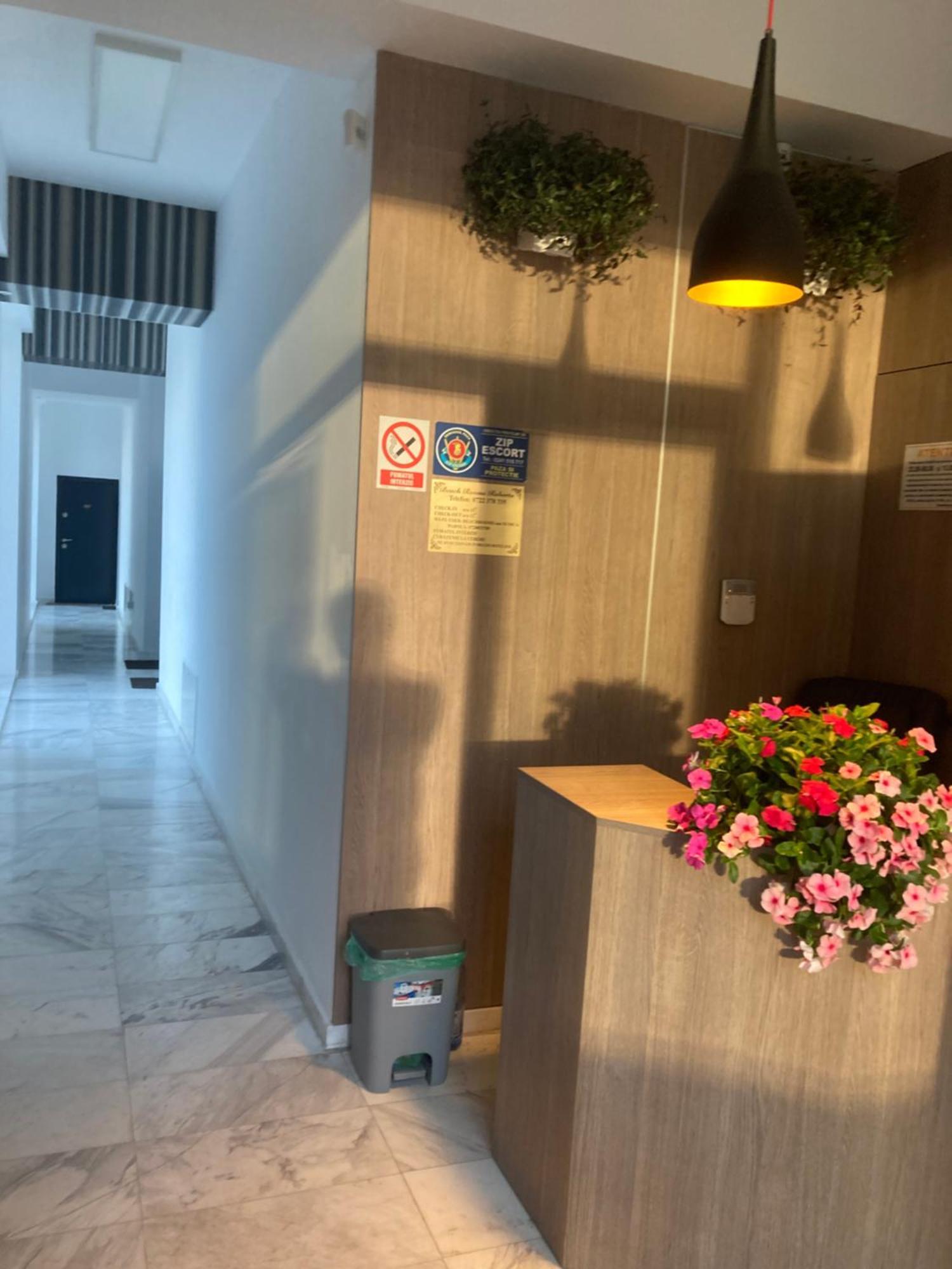 Beach Rooms Roberta Mamaia Ngoại thất bức ảnh
